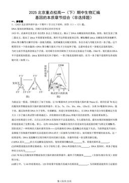 2025北京重点校高一（下）期中生物汇编：基因的本质章节综合（非选择题）-答案
