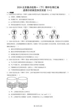 2024北京重点校高一（下）期中生物汇编：孟德尔的豌豆杂交实验（一）-答案