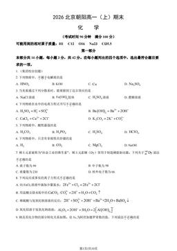 2026北京朝阳高一（上）期末化学（教师版）-答案