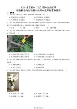 2025北京初一（上）期末生物汇编：绿色植物与生物圈中的碳一氧平衡章节综合-答案