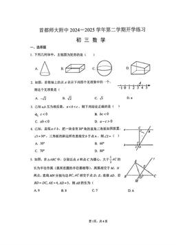 2025北京首都师大附中初三（下）开学考数学-试题