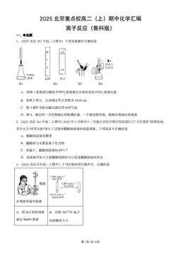 2025北京重点校高二（上）期中化学汇编：离子反应（鲁科版）-答案