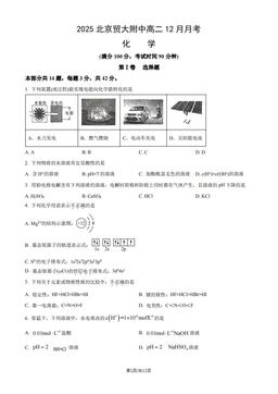 2025北京贸大附中高二12月月考化学（教师版）-答案