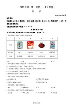 2026北京一零一中高一（上）期末化学（教师版）-答案