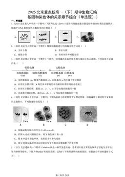 2025北京重点校高一（下）期中生物汇编：基因和染色体的关系章节综合（单选题）3-答案