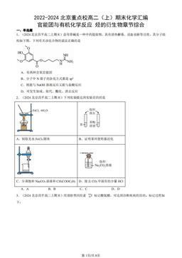 2022-2024北京重点校高二（上）期末化学汇编：官能团与有机化学反应 烃的衍生物章节综合-答案
