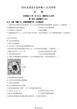 2024北京五十五中高一12月月考生物（教师版）-答案