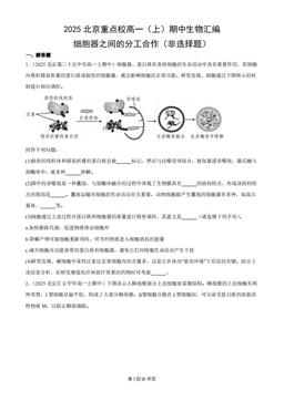 2025北京重点校高一（上）期中生物汇编：细胞器之间的分工合作（非选择题）-答案