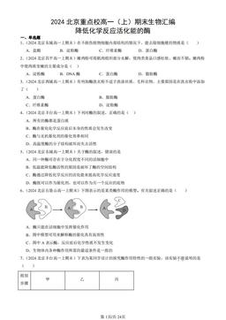 2024北京重点校高一（上）期末生物汇编：降低化学反应活化能的酶-答案