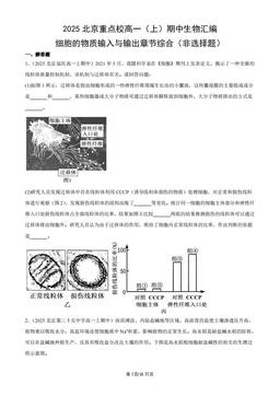 2025北京重点校高一（上）期中生物汇编：细胞的物质输入与输出章节综合（非选择题）-答案
