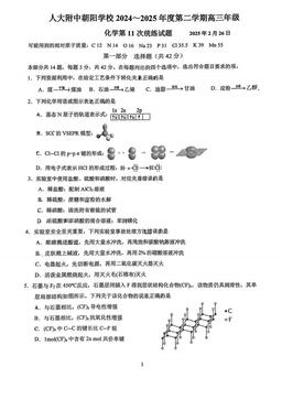 2025北京人大附中朝阳学校高三（下）统练十一化学-答案