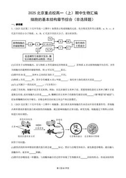 2025北京重点校高一（上）期中生物汇编：细胞的基本结构章节综合（非选择题）-答案
