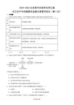 2024-2026北京高中合格考化学汇编：化工生产中的重要非金属元素章节综合（第一次）-答案
