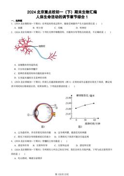 2024北京重点校初一（下）期末生物汇编：人体生命活动的调节章节综合1-答案