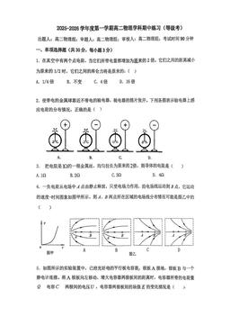 2025北京理工大附中高二（上）期中物理（等级考）-试题