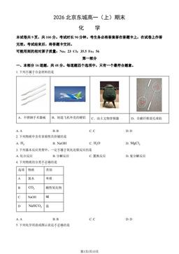 2026北京东城高一（上）期末化学（教师版）-答案