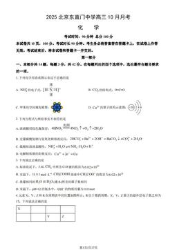 2025北京东直门中学高三10月月考化学（教师版）-答案