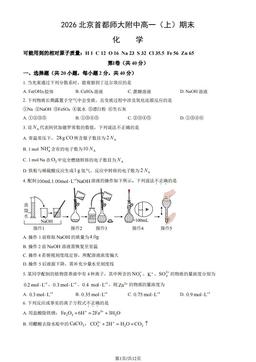 2026北京首都师大附中高一（上）期末化学（教师版）-答案