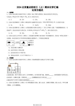 2024北京重点校初三（上）期末化学汇编：化学方程式-答案