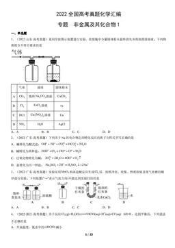 2022全国高考真题化学汇编：专题  非金属及其化合物1-答案
