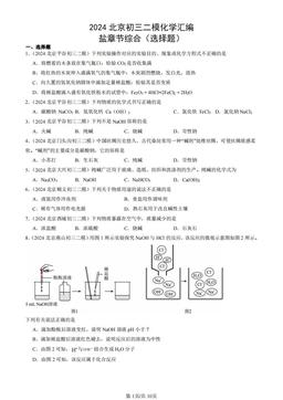 2024北京初三二模化学汇编：盐章节综合（选择题）-答案