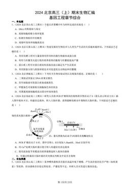 2024北京高三（上）期末生物汇编：基因工程章节综合-答案