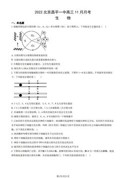 2022北京昌平一中高三11月月考生物（教师版）-答案