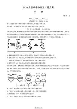 2026北京八十中高三1月月考生物-试题