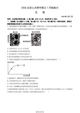 2026北京人大附中高三1月统练六生物（教师版）-答案
