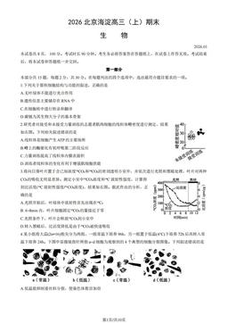 2026北京海淀高三（上）期末生物（教师版）-答案