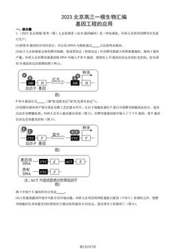 2023北京高三一模生物汇编：基因工程的应用-答案