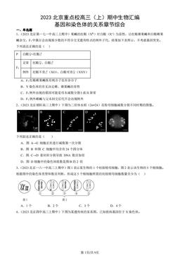 2023北京重点校高三（上）期中生物汇编：基因和染色体的关系章节综合-答案