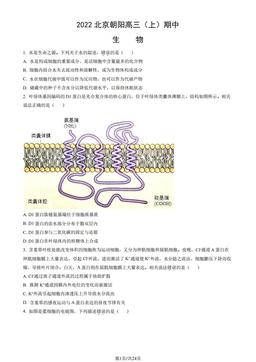 2022北京朝阳高三（上）期中生物（教师版）-答案