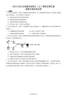 2023-2025北京重点校高三（上）期末生物汇编：发酵工程及其应用-答案