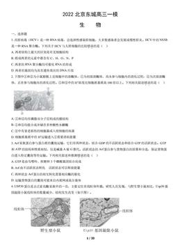 2022北京东城高三一模生物（教师版）-答案