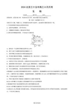 2024北京三十五中高三8月月考生物（教师版）-答案