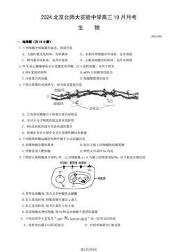 2024北京北师大实验中学高三10月月考生物-试题