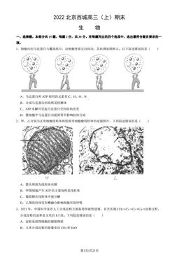 2022北京西城高三（上）期末生物（教师版）-答案