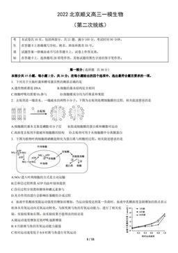 2022北京顺义高三一模生物（第二次统练）（教师版）-答案