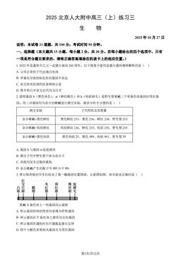 2025北京人大附中高三（上）练习三生物（教师版）-答案
