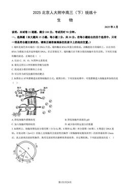 2025北京人大附中高三（下）统练十生物（教师版）-答案