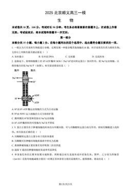 2025北京顺义高三一模生物（教师版）-答案