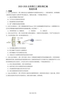 2023-2025北京高三二模生物汇编：免疫失调-答案
