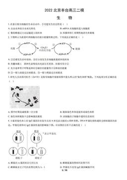 2022北京丰台高三二模生物（教师版）-答案