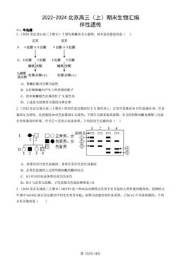 2022-2024北京高三（上）期末生物汇编：伴性遗传-答案