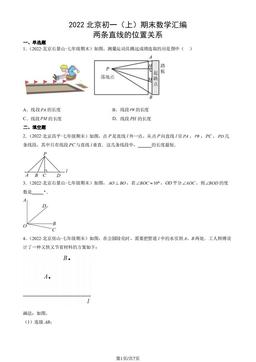 2022北京初一（上）期末数学汇编：两条直线的位置关系-答案