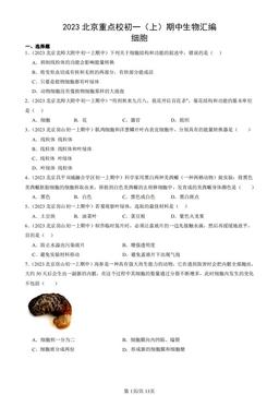 2023北京重点校初一（上）期中生物汇编：细胞-答案