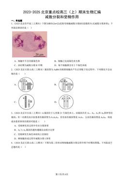 2023-2025北京重点校高三（上）期末生物汇编：减数分裂和受精作用-答案