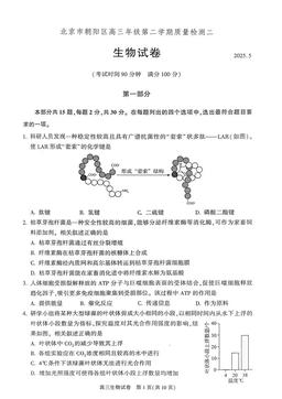 2025北京朝阳高三二模生物-答案