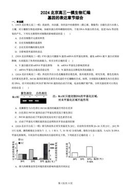 2024北京高三一模生物汇编：基因的表达章节综合-答案